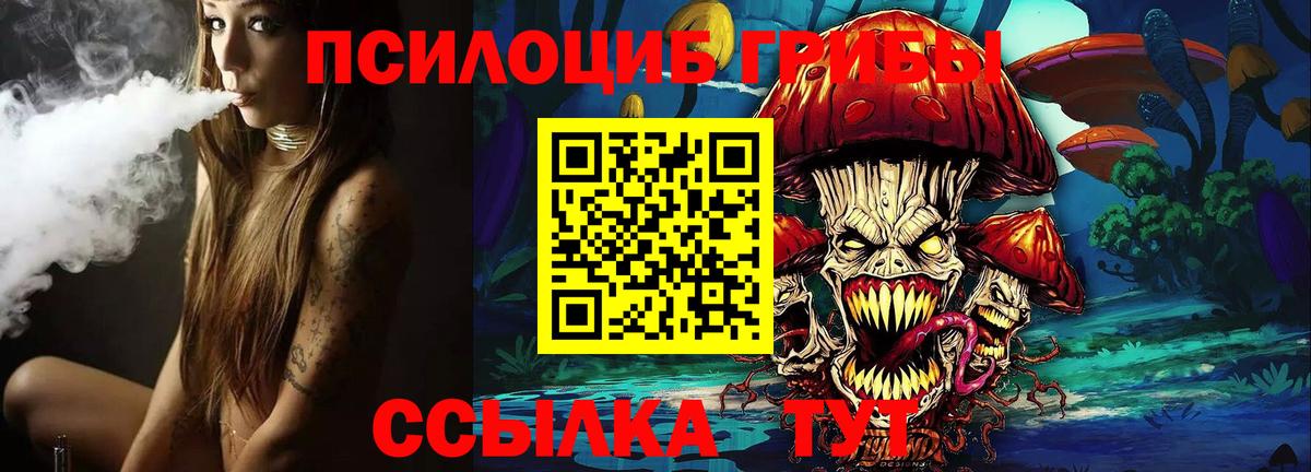 Псилоцибиновые грибы Cubensis Донской